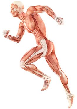 Violación de la amortización neuromuscular